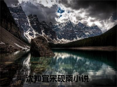 沈知宜宋砚南在哪看无弹窗全文