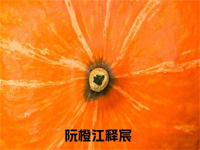 阮橙江释宸（阮橙江释宸）全文免费阅读-阮橙江释宸最新章节在线阅读