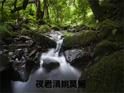 夜君清姚莫婉（妹妹，别着急，我会一点一点地摧毁你）未删减-夜君清姚莫婉完结版阅读地址