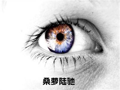 《桑萝陆驰》全文免费阅读无弹窗大结局_桑萝陆驰无弹窗全文阅读