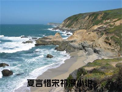 夏言惜宋祁深最新章节在线阅读-全文小说夏言惜宋祁深