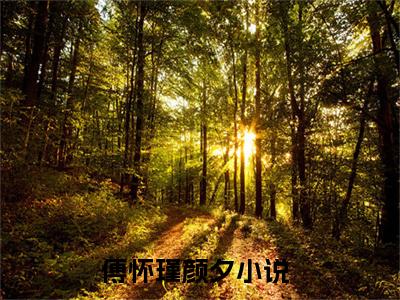 傅怀瑾颜夕小说小说今日阅读更新-（傅怀瑾颜夕小说）全文免费阅读-傅怀瑾颜夕小说