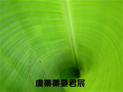 虞蓁蓁晏君宸(虞蓁蓁晏君宸)全文免费阅读无弹窗大结局_（虞蓁蓁晏君宸）虞蓁蓁晏君宸免费阅读无弹窗最新章节列表_笔趣阁（虞蓁蓁晏君宸）