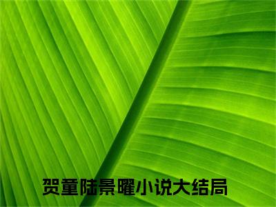 贺童陆景曜全文免费阅读_（贺童陆景曜免费阅读无弹窗）贺童陆景曜最新章节在线阅读