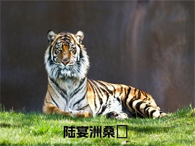 陆宴洲桑義最新章节阅读-陆宴洲桑義免费阅读大结局无弹窗