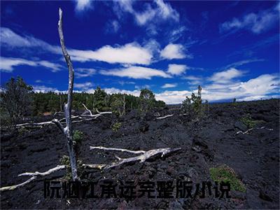 阮烟江承远(阮烟江承远)精彩热门小说_(阮烟江承远免费阅读全文大结局)最新章节列表_笔趣阁