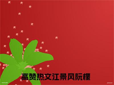 抖音新书热荐江景风阮檬-小说全文完整版免费阅读