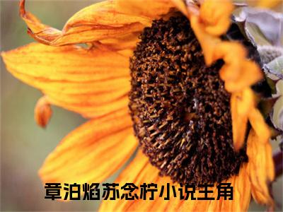 章泊焰苏念柠（章泊焰苏念柠）全文免费阅读无弹窗大结局_（章泊焰苏念柠无弹窗）最新章节免费阅读_笔趣阁