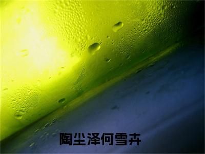 陶尘泽何雪卉小说免费阅读(陶尘泽何雪卉)全文免费阅读无弹窗大结局_ 陶尘泽何雪卉最新章节列表_笔趣阁（陶尘泽何雪卉小说）