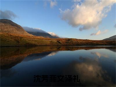 沈芳菲文泽礼阅读无弹窗大结局_（沈芳菲文泽礼阅读无弹窗）最新章节列表_笔趣阁（沈芳菲文泽礼）