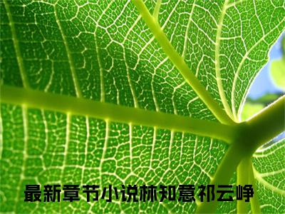 林知意祁云峥(我不要再次错过你)全文免费阅读无弹窗大结局_林知意祁云峥全文阅读_笔趣阁（我不要再次错过你）