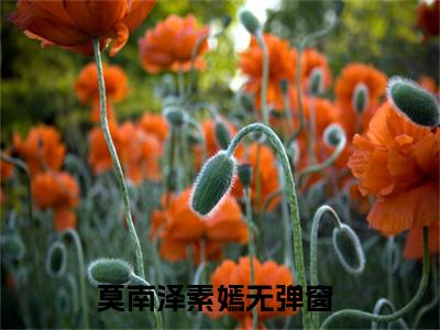 莫南泽素嫣全文免费阅读_（莫南泽素嫣免费阅读无弹窗）莫南泽素嫣最新章节列表笔趣阁