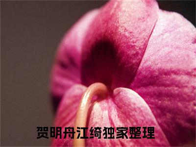 贺明舟江绮(贺明舟江绮)全文免费阅读_贺明舟江绮全文阅读_笔趣阁