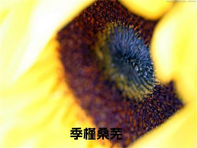 2023新上热文季槿桑芜-季槿桑芜小说在线阅读