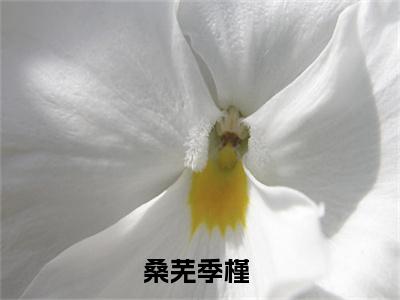 桑芜季槿小说(桑芜季槿)全文免费桑芜季槿读无弹窗大结局_(桑芜季槿小说免费阅读)