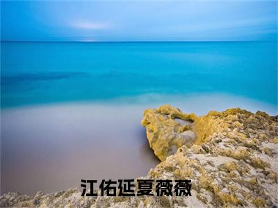 江佑延夏薇薇（江佑延夏薇薇）全文免费阅读无弹窗_江佑延夏薇薇小说免费阅读_笔趣阁