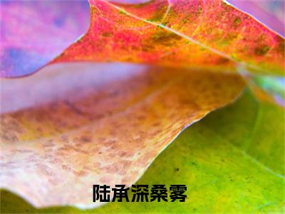 陆承深桑雾(陆承深桑雾)全文免费阅读无弹窗大结局_陆承深桑雾免费阅读全文无弹窗_笔趣阁