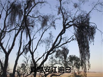 夏唯安江逾白免费阅读（夏唯安江逾白）全文免费阅读无弹窗大结局_夏唯安江逾白免费阅读最新章节列表_笔趣阁（夏唯安江逾白）