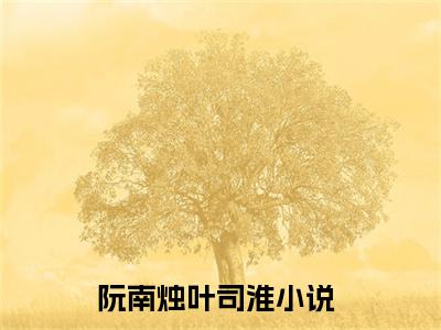 阮南烛叶司淮(阮南烛叶司淮小说)全文免费阅读无弹窗大结局_(阮南烛叶司淮小说免费阅读全文大结局)最新章节列表_笔趣阁（阮南烛叶司淮小说）