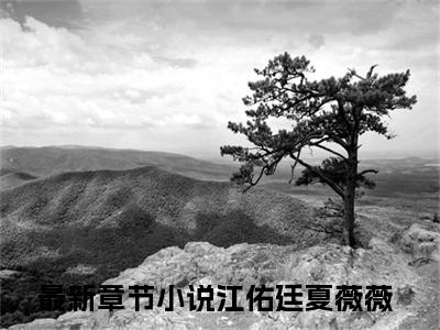 江佑廷夏薇薇免费阅读（江佑廷夏薇薇）全文免费阅读无弹窗大结局_江佑廷夏薇薇免费阅读最新章节列表_笔趣阁（江佑廷夏薇薇）