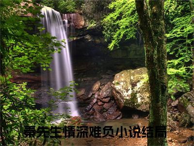 秦先生情深难负（云笙秦瑾城）完整版全文在线赏析-秦先生情深难负精彩美文摘抄