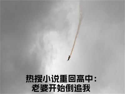 乐恩贝林皓在线阅读（重回高中：老婆开始倒追我）全文无弹窗大结局_重回高中：老婆开始倒追我全文在线阅读无弹窗