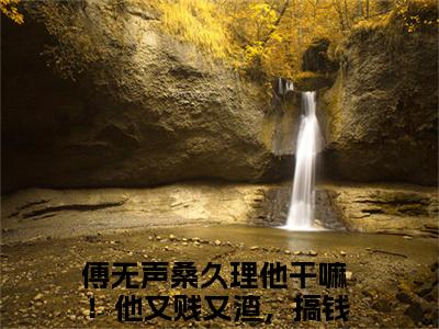 傅无声桑久小说在线阅读（理他干嘛！他又贱又渣，搞钱吧！）全文免费阅读无弹窗大结局_理他干嘛！他又贱又渣，搞钱吧！小说免费最新章节列表_笔趣阁（傅无声桑久）