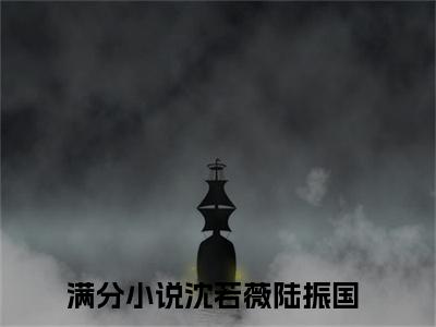 沈若薇陆振国全文免费阅读无弹窗大结局_(沈若薇陆振国免费阅读)沈若薇陆振国无弹窗最新章节列表_笔趣阁