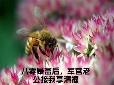 邱秀英顾司衍（邱秀英顾司衍）全文免费阅读无弹窗_八零暴富后，军官老公接我享清福小说在线阅读_笔趣阁