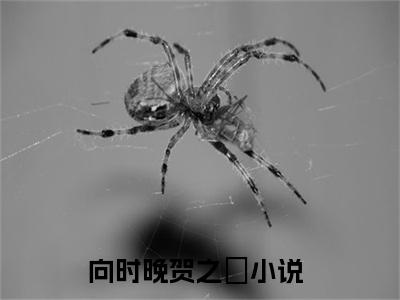 向时晚贺之旸（向时晚贺之旸）免费小说-（向时晚贺之旸）完结版在线阅读