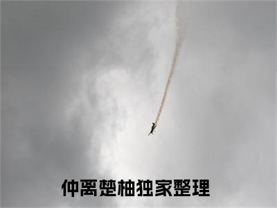 仲离楚柚小说全文免费阅读（仲离楚柚）全文免费阅读无弹窗大结局_(仲离楚柚)仲离楚柚小说免费阅读无弹窗最新章节列表_笔趣阁（仲离楚柚）