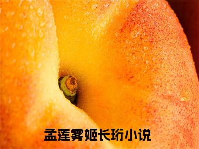 孟莲雾姬长珩全文免费阅读无弹窗-孟莲雾姬长珩小说全文在线赏析_笔趣阁（孟莲雾姬长珩）