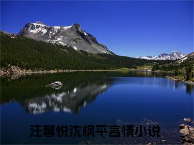 汪馨悦沈枫平（汪馨悦沈枫平小说）全文免费阅读无弹窗大结局_(汪馨悦沈枫平小说免费阅读)最新章节列表