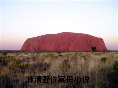 林清野许棠舟的小说全文免费阅读,小说名字是：林清野许棠舟的小说全资源免费阅读结局无删节