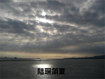 陆琛简夏（陆琛简夏）全文免费阅读无弹窗大结局_ (陆琛简夏小说免费阅读)最新章节列表_笔趣阁