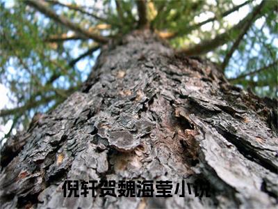 倪轩贺魏海莹小说免费(倪轩贺魏海莹)全文免费阅读无弹窗-倪轩贺魏海莹最新章节列表_笔趣阁