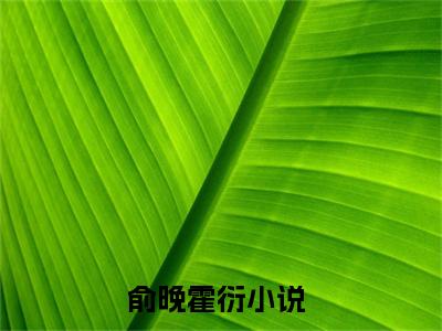 俞晚霍衍（俞晚霍衍）全文免费阅读无弹窗大结局_（俞晚霍衍）最新章节列表笔趣阁