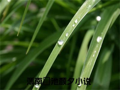 薄南璟池颜夕（薄南璟池颜夕）全文阅读-2023最火热点小说薄南璟池颜夕最新更新