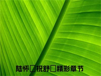 陆怀璟祝舒珣（陆怀璟祝舒珣）全文免费阅读无弹窗大结局-陆怀璟祝舒珣最新章节列表-笔趣阁