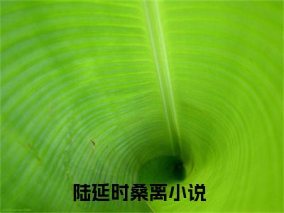 老书虫良心推荐最新小说（陆延时桑离）主角陆延时桑离全文全章节免费阅读