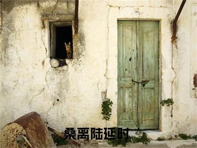 桑离陆延时（桑离陆延时）小说全本完结版免费阅读