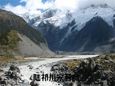 陆祁川宋若薇（陆祁川宋若薇）小说大结局全文免费阅读-抖音小说陆祁川宋若薇