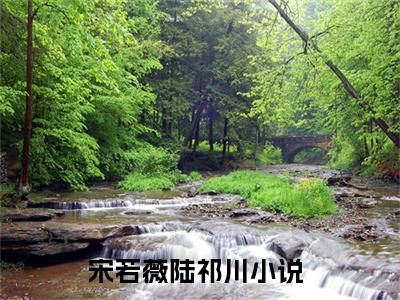 小说（宋若薇陆祁川）_宋若薇陆祁川全文阅读_宋若薇陆祁川免费阅读大结局