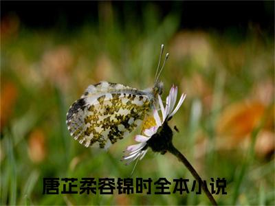 唐芷柔容锦时小说《唐芷柔容锦时》全章节阅读-唐芷柔容锦时精彩小说全文赏析