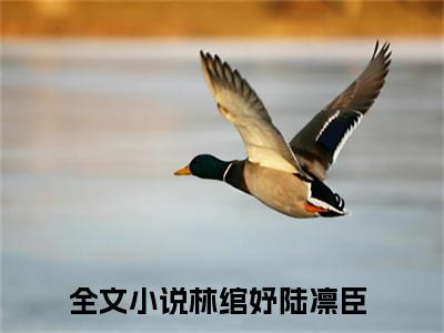 小说林绾妤陆凛臣全文免费阅读无弹窗大结局-林绾妤陆凛臣在线阅读