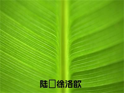 陆沨徐洛歆最新完结小说阅读-陆沨徐洛歆小说收藏阅读