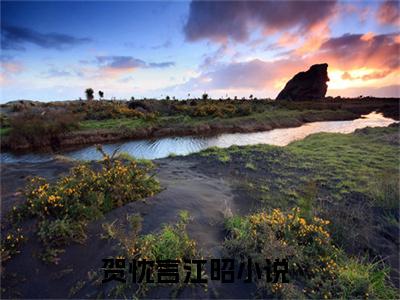 贺忱言江昭小说最新章节阅读 贺忱言江昭全文免费阅读最新章节大结局