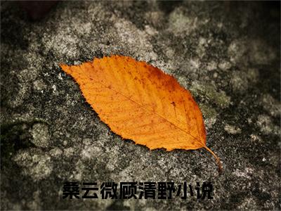 桑云微顾清野精彩满分小说-强烈推荐桑云微顾清野（桑云微顾清野）小说精彩全文阅读