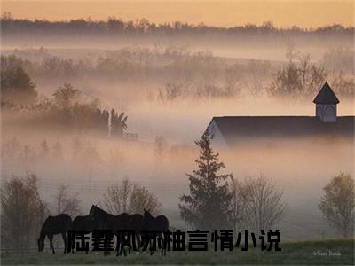 陆霆风苏柚宝藏小说推荐陆霆风苏柚-陆霆风苏柚完整免费阅读小说