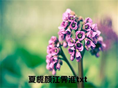 夏栀颜江霁淮全网首发最新小说主角夏栀颜江霁淮全文在线免费阅读